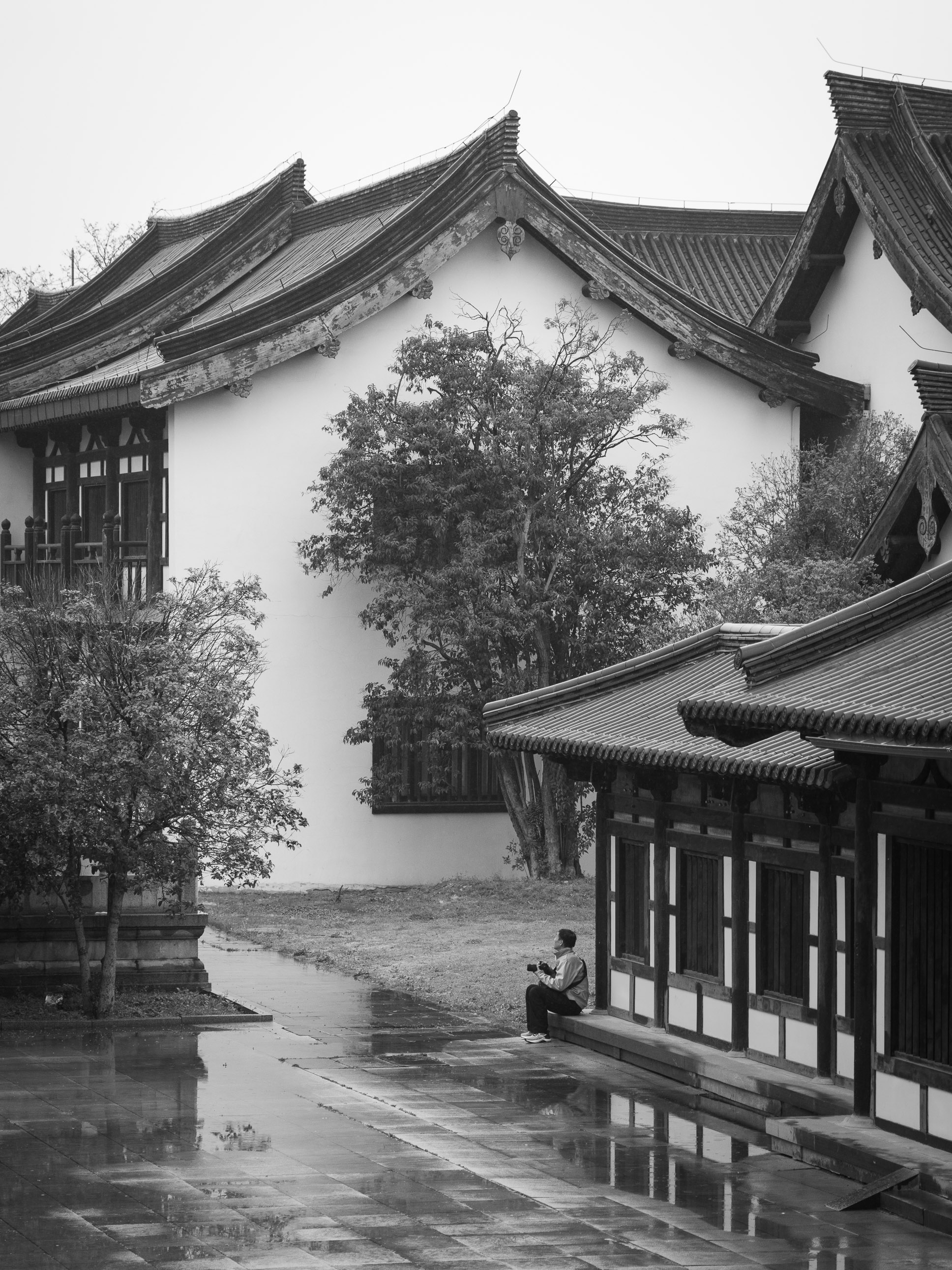 After the Rain, Daming Temple<br>2023-04-06